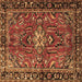 Square Machine Washable Persian Brown Traditional Rug, wshtr4248brn