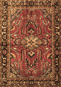 Persian Brown Traditional Rug, tr4248brn