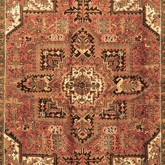 Persian Brown Traditional Rug, tr4250brn