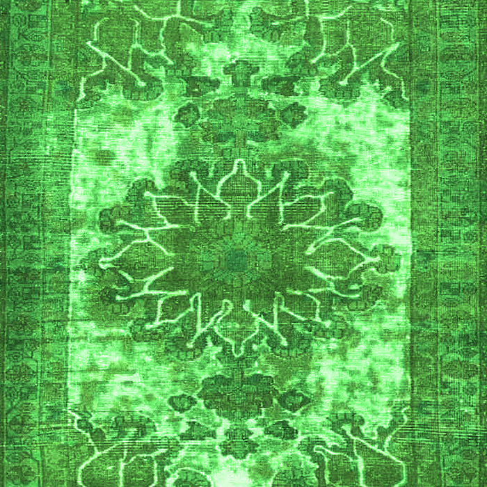 Persian Green Traditional Rug, tr4255grn