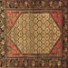 Square Persian Brown Traditional Rug, tr425brn