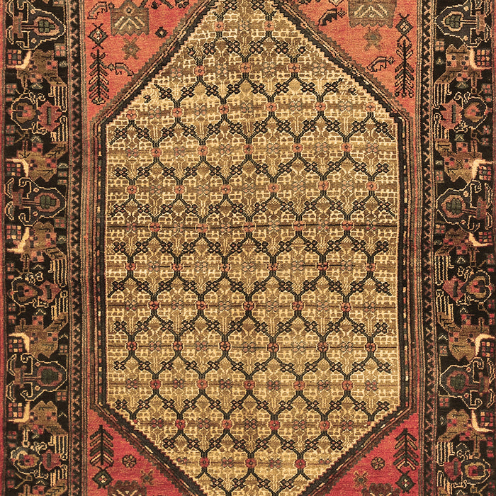 Machine Washable Persian Brown Traditional Rug, wshtr425brn