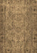 Persian Brown Traditional Rug, tr4266brn