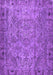 Persian Purple Traditional Rug, tr4266pur