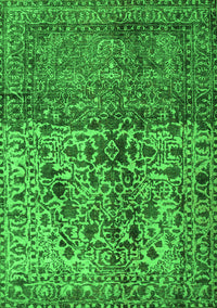 Persian Green Traditional Rug, tr4269grn