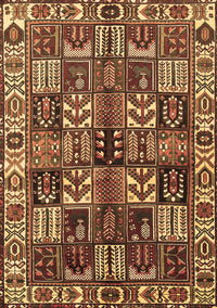 Persian Brown Traditional Rug, tr426brn