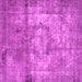 Square Machine Washable Persian Pink Traditional Rug, wshtr4272pnk