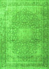 Persian Green Traditional Rug, tr4273grn