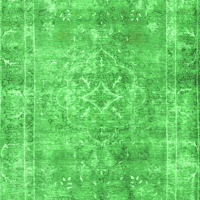 Persian Green Traditional Rug, tr4274grn