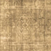 Square Persian Brown Traditional Rug, tr4274brn