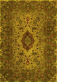 Persian Yellow Traditional Rug, tr427yw