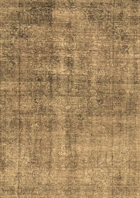 Persian Brown Traditional Rug, tr4280brn