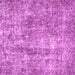 Square Machine Washable Persian Pink Traditional Rug, wshtr4285pnk
