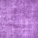 Square Persian Purple Traditional Rug, tr4285pur