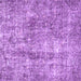 Square Machine Washable Persian Purple Traditional Area Rugs, wshtr4285pur