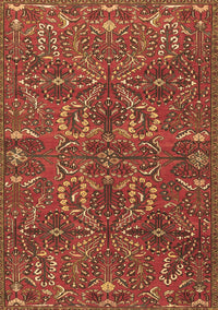 Persian Brown Traditional Rug, tr4288brn