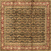 Square Machine Washable Persian Brown Traditional Rug, wshtr428brn