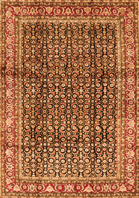 Persian Orange Traditional Rug, tr428org