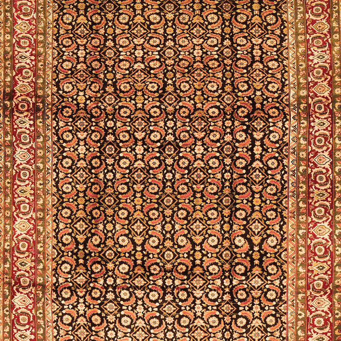 Persian Orange Traditional Rug, tr428org