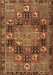 Persian Brown Traditional Rug, tr4290brn