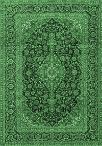 Medallion Emerald Green Traditional Rug, tr4291emgrn