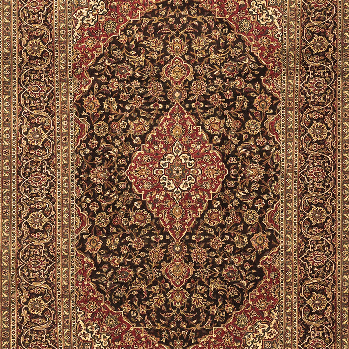 Medallion Brown Traditional Rug, tr4291brn