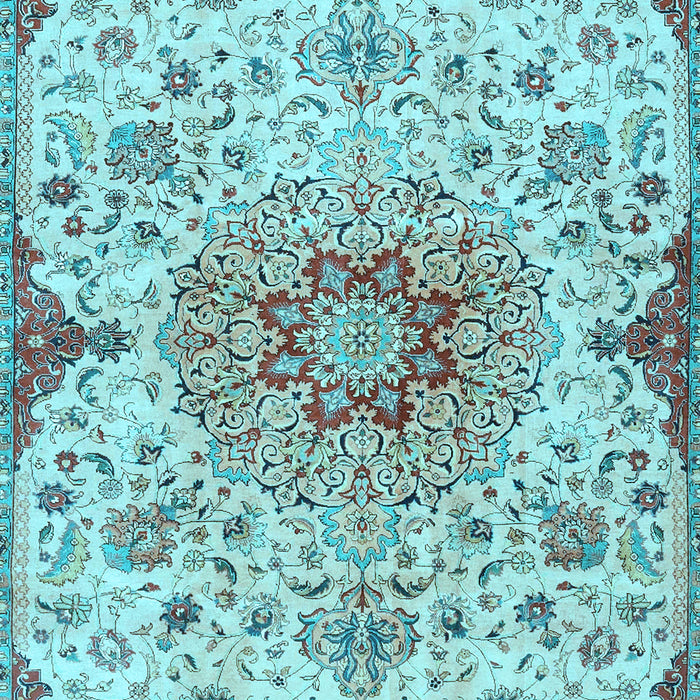 Persian Light Blue Traditional Rug, tr4294lblu