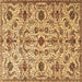 Square Machine Washable Persian Brown Traditional Rug, wshtr4295brn