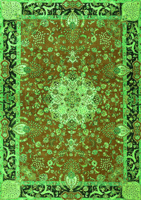 Persian Green Traditional Rug, tr4296grn