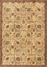 Machine Washable Persian Brown Traditional Rug, wshtr4298brn