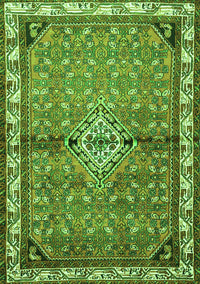Persian Green Traditional Rug, tr429grn