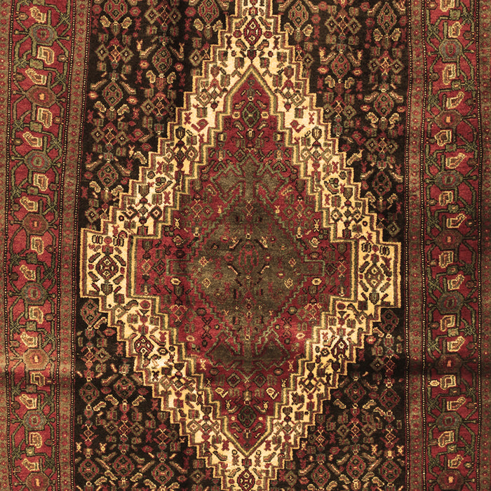 Persian Brown Traditional Rug, tr42brn