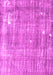 Machine Washable Persian Pink Traditional Rug, wshtr4300pnk