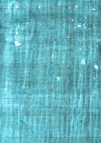 Persian Light Blue Traditional Rug, tr4300lblu