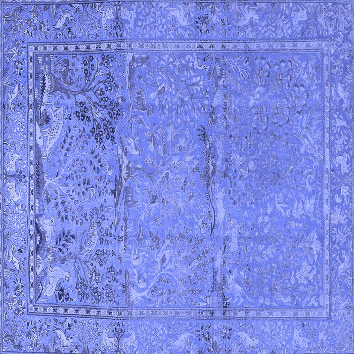 Square Machine Washable Animal Blue Traditional Rug, wshtr4302blu
