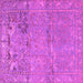 Square Machine Washable Animal Pink Traditional Rug, wshtr4302pnk