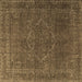 Square Persian Brown Traditional Rug, tr4304brn