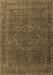 Machine Washable Persian Brown Traditional Rug, wshtr4304brn