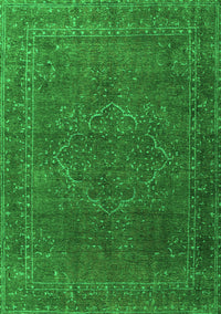 Persian Green Traditional Rug, tr4304grn