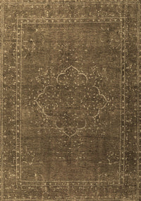 Persian Brown Traditional Rug, tr4304brn