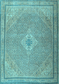 Persian Light Blue Traditional Rug, tr4314lblu