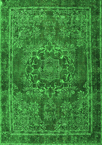 Persian Green Traditional Rug, tr4320grn