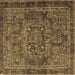 Square Persian Brown Traditional Rug, tr4320brn