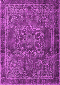 Persian Pink Traditional Rug, tr4320pnk