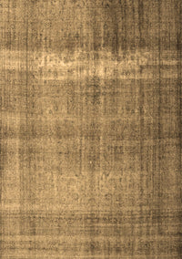 Persian Brown Traditional Rug, tr4321brn