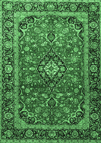 Medallion Emerald Green Traditional Rug, tr4326emgrn