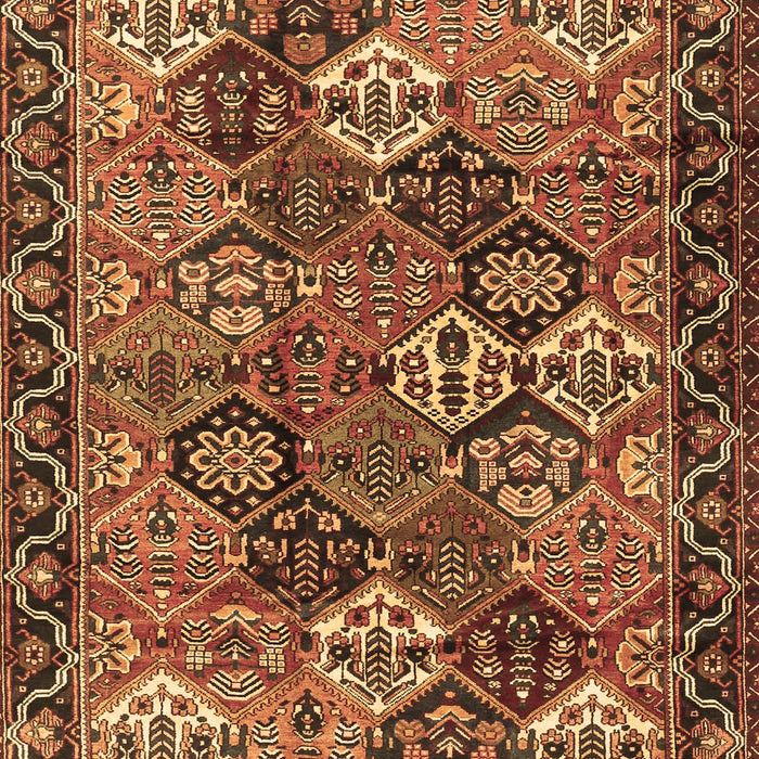 Persian Brown Traditional Rug, tr4328brn