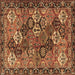 Square Persian Brown Traditional Rug, tr4328brn