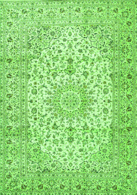 Medallion Green Traditional Rug, tr4329grn