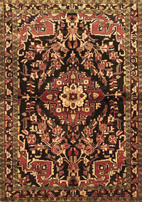 Persian Brown Traditional Rug, tr432brn